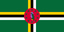 DM-flag