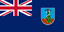 MS-flag