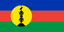 NC-flag