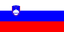 SI-flag