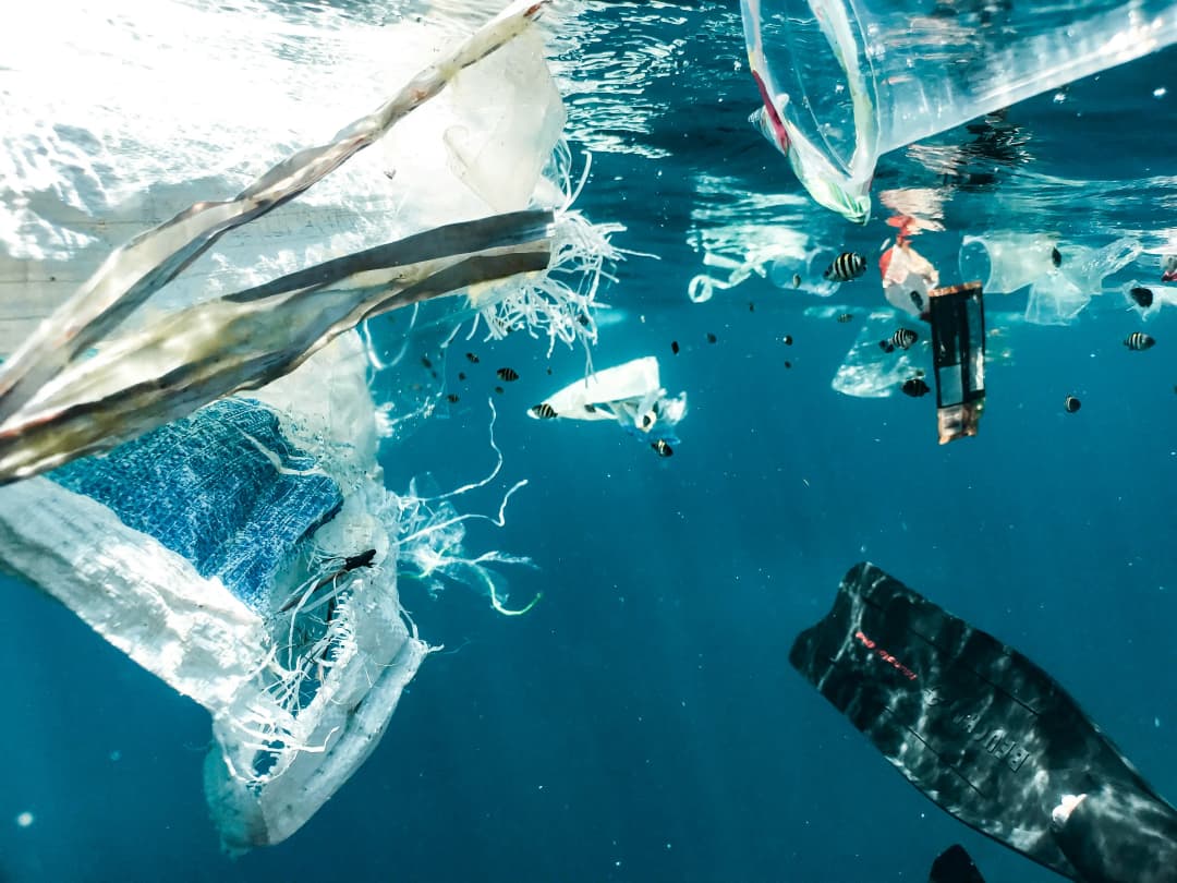 Water body filled with plastic waste