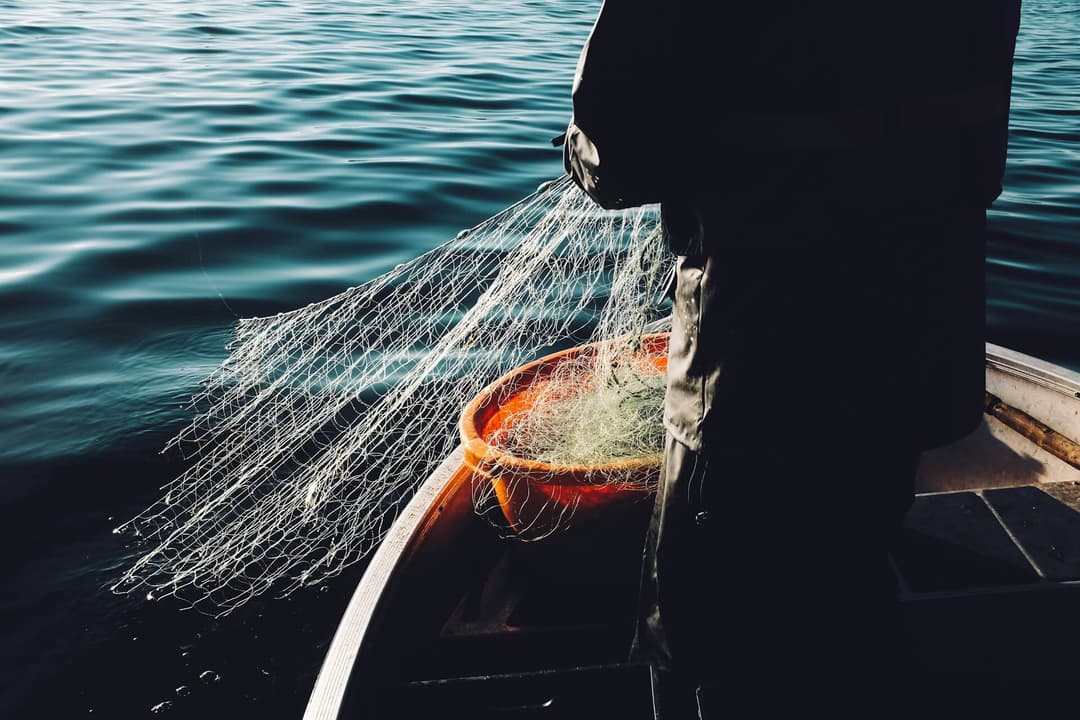 Person on a boat with a fishing net