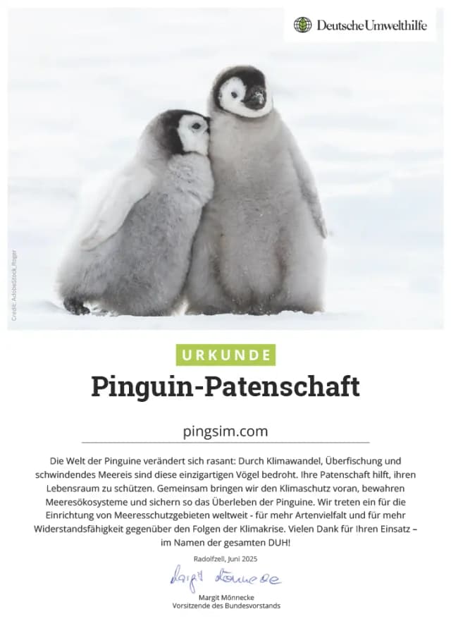 Penguin sponsorship certificate from Deutsche Umwelthilfe e.V.